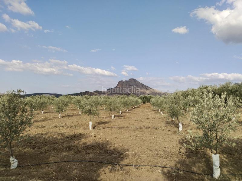 Foto 7fa5712b-9226-4d35-b45e-6188b9b26cdc. Masia amb piscina a Zona de la Vega Antequera