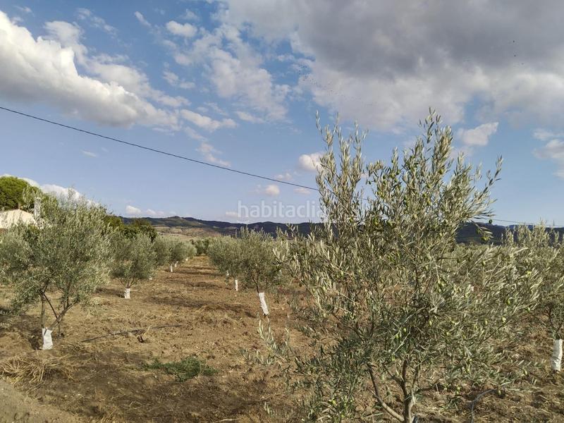 Foto 9d462867-393b-4cca-af2e-05e01625fdc0. Masia amb piscina a Zona de la Vega Antequera