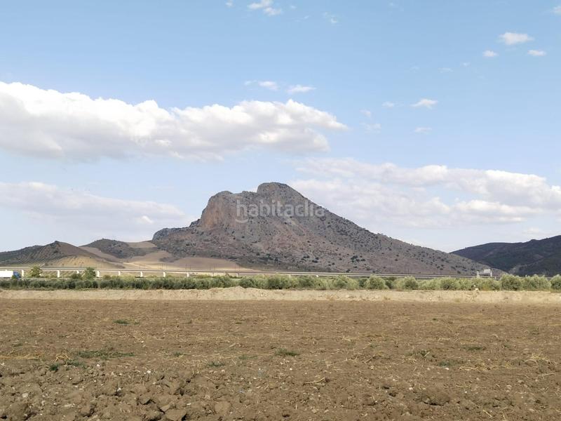 Foto b051a4bb-b768-42af-aa62-7af8bc8179d8. Masia amb piscina a Zona de la Vega Antequera