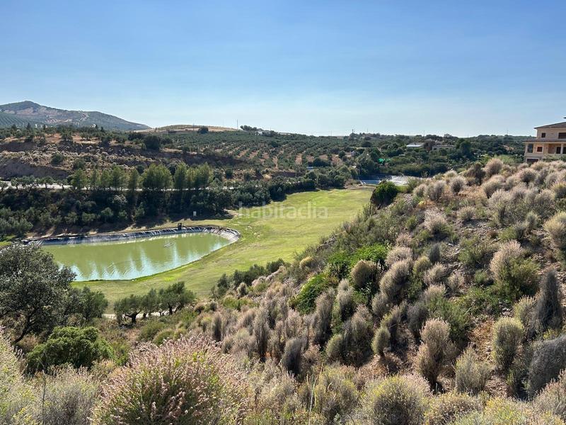 Foto 156ca081-893d-4ecf-823d-bc2bb85c583c. Residential plot in Centro Antequera