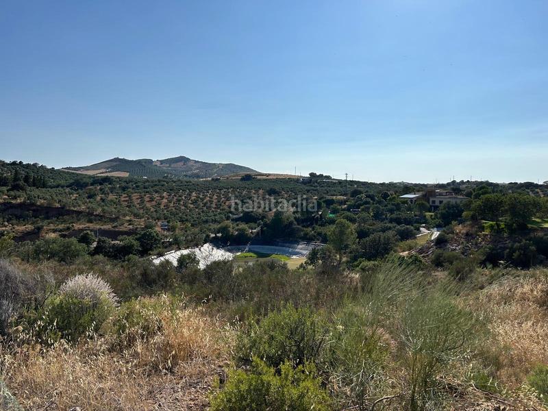 Foto 56d9fadc-c930-4fad-95c2-06974d444a8a. Residential plot in Centro Antequera