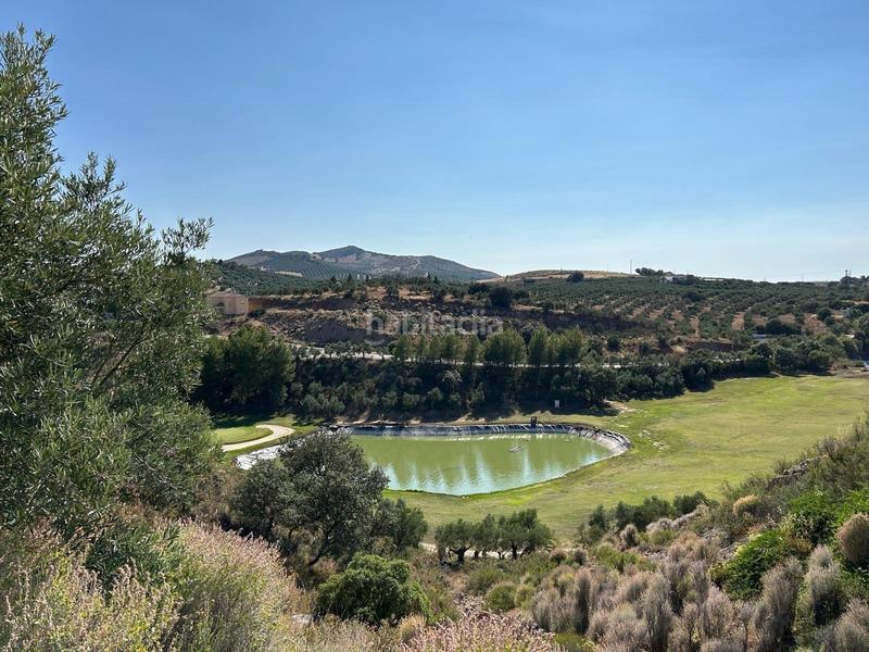 Foto ee8dfb26-a09a-4eb6-87fc-4d4b6365d9f0. Residential plot in Centro Antequera