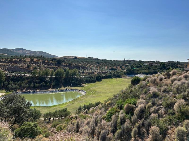 Foto f055625f-4c04-413a-8e13-737bc9f48cc7. Residential plot in Centro Antequera