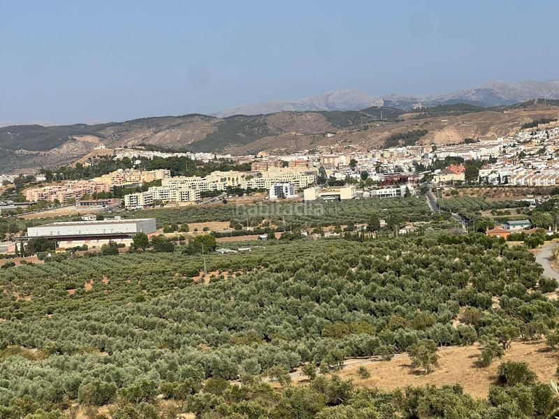 Foto 0c09b4fc-685e-477b-96f7-b231fd451e29. Terrain résidentiel dans Centro Antequera