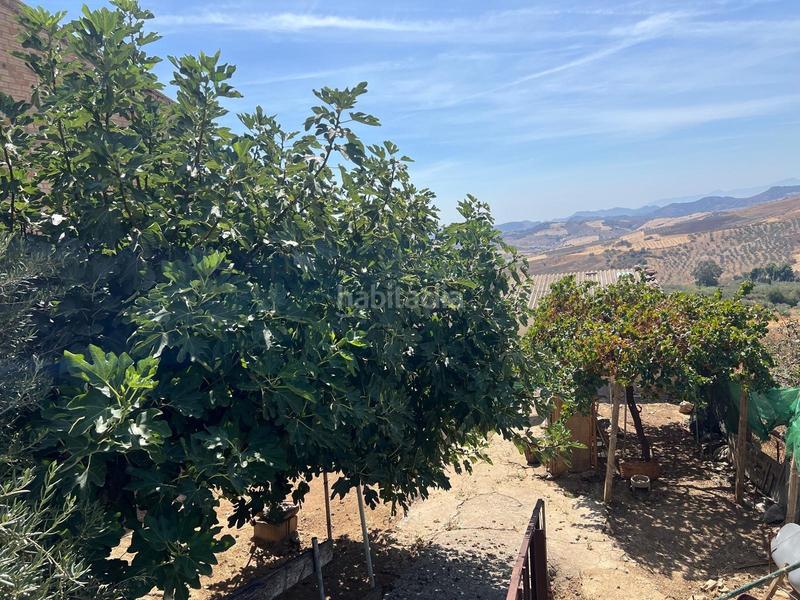 Foto 9dc76f01-7d5c-4176-8a71-502a80cc4fe1. Terrain résidentiel dans Villanueva De La Concepción