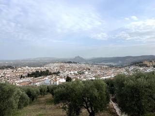 Masia a Centro. En exclusiva parcela rustica con vivienda con las vistas mas bon
