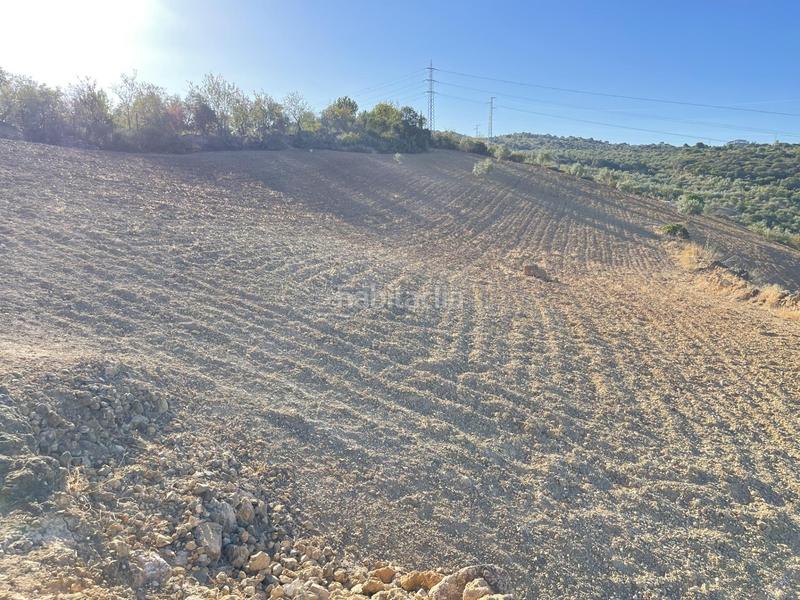 Foto 0b96f385-77f2-4a51-b436-8d0f8ffc5549. Finca rústica a Archidona
