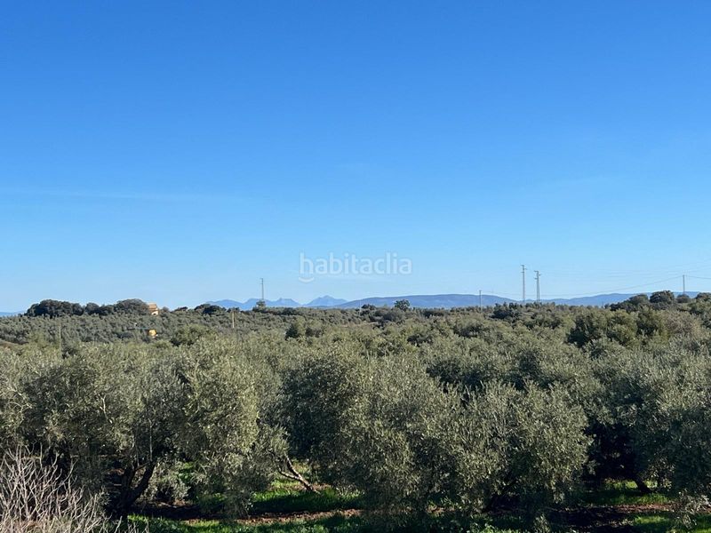 Foto 34ae2670-4452-4935-817e-c8d281d1c5ae. Masia amb calefacció aparcament a Centro Antequera