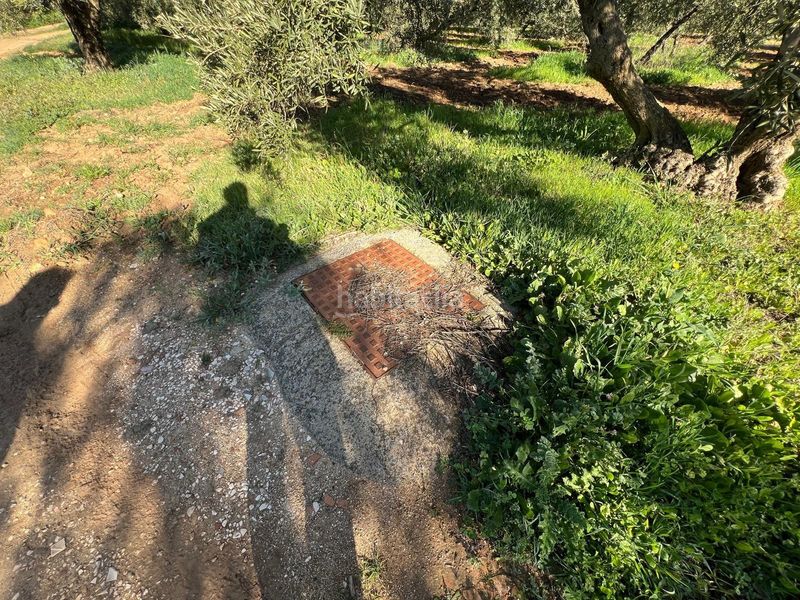 Foto 661d37d0-d050-48c5-8bbf-355163c60363. Masia amb calefacció aparcament a Centro Antequera