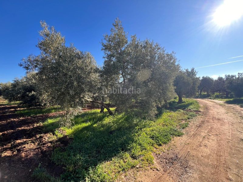 Foto d56d397d-b550-463e-856a-7a9b08cb01a3. Masia amb calefacció aparcament a Centro Antequera