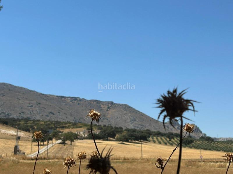 Foto 5426e5c4-b22d-4082-b74a-2dfd0ed557e7. Masia amb aparcament piscina a Centro Antequera