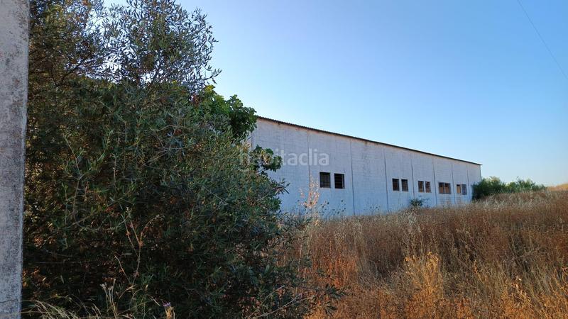 Foto 12a444e1-d090-4aed-8a13-e34b6182118a. Landgut in Mollina