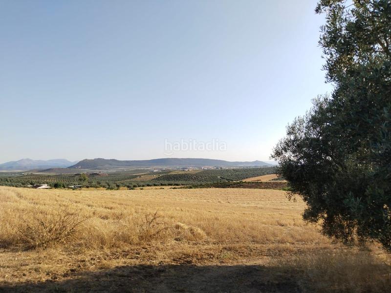 Foto 39ca5c7d-335d-44ed-8d23-c4fd3e9ef523. Landgut in Mollina