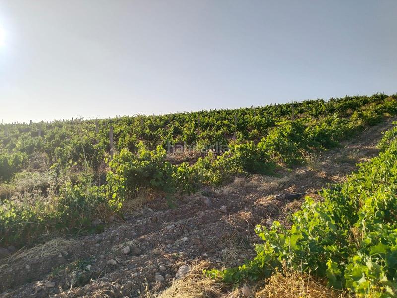 Foto 5bc4a600-b5ca-4ab1-bab3-ea42a9aae60f. Landgut in Mollina