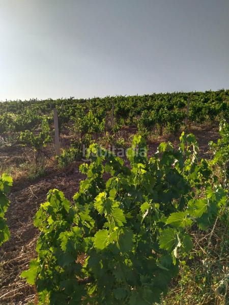 Foto 74b67c0b-20bc-429d-ade3-0b5d0e6568fa. Landgut in Mollina