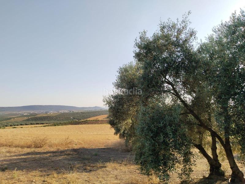 Foto 754ad570-67c1-46e9-8e9d-8222db5b7011. Landgut in Mollina