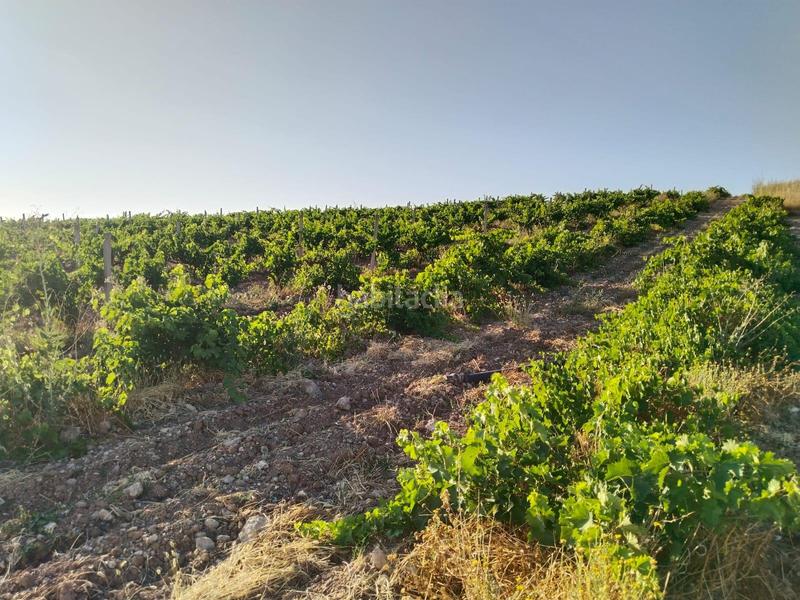 Foto 95fa3ab3-dbe7-4934-bad1-7584598adad5. Landgut in Mollina