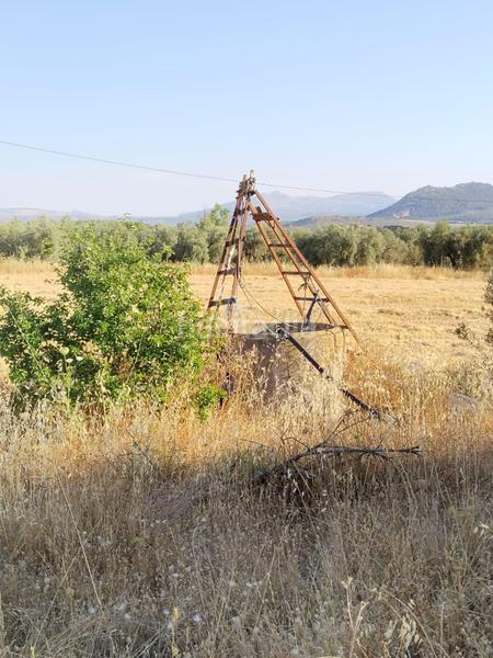 Foto 95fbf581-dcfe-4f42-b437-1013ea6f4289. Landgut in Mollina