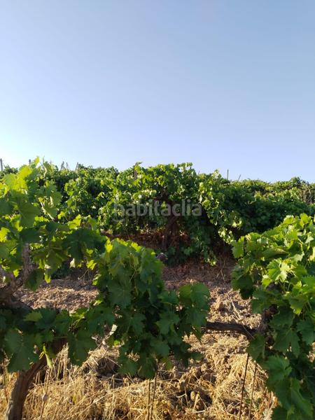 Foto 9e36c60c-8524-4535-9676-ecf8c6838be3. Landgut in Mollina