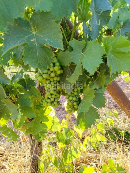 Foto f1931f78-50aa-4d5d-8152-af23e8d52938. Landgut in Mollina