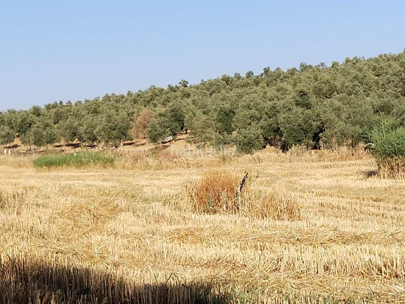 Foto f933db7a-1dda-453a-8432-6e4945ddcb2f. Landgut in Mollina