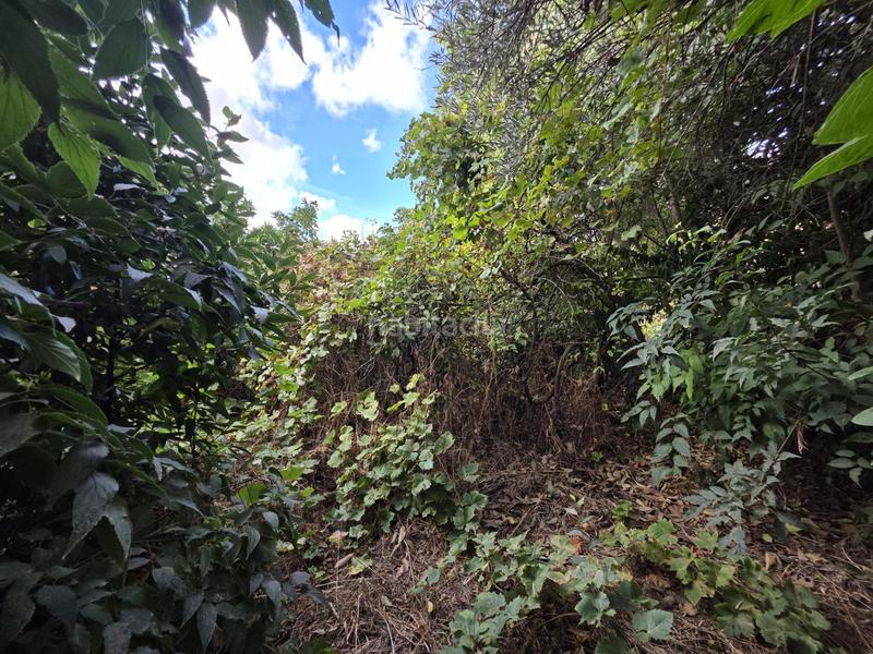 Foto 7934f3f9-1ae0-4ff0-a244-dd1b42ecc05b. Terreny residencial a Fuente de Piedra