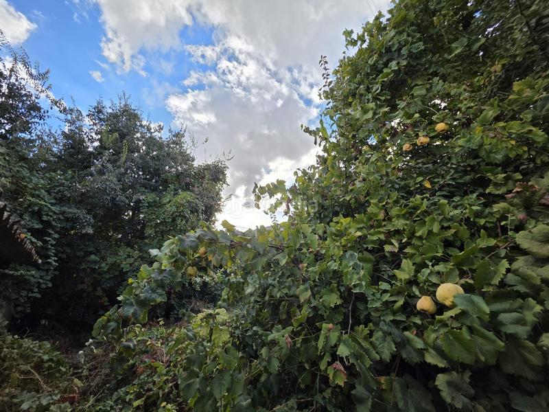 Foto 8ce15673-f8c1-4819-904f-2de4b9217f38. Terreny residencial a Fuente de Piedra