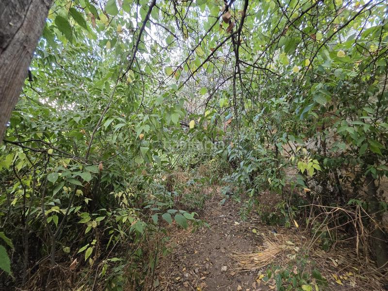 Foto e7adcff7-1181-4b8b-97c2-8a031c036166. Terreny residencial a Fuente de Piedra