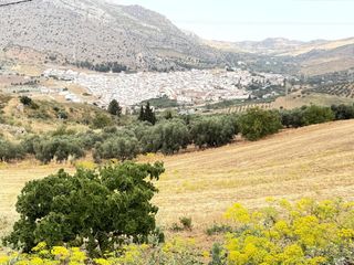 Mas à Valle de Abdalajís. En exclusiva parcela rustica con casa en la zona del valle de ab