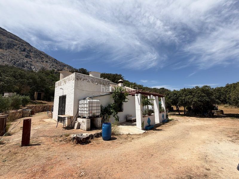 Foto dc61287b-09a7-453d-ad7b-1df31e786032. Masia amb calefacció piscina a Centro Antequera