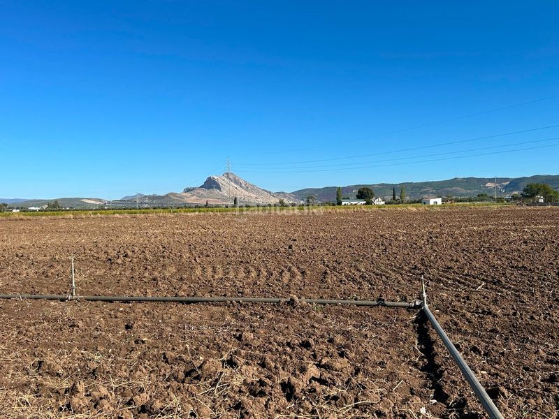 Foto 771d2786-10b6-48b0-9597-64335dfbc923. Masia amb aparcament piscina a Zona de la Vega Antequera