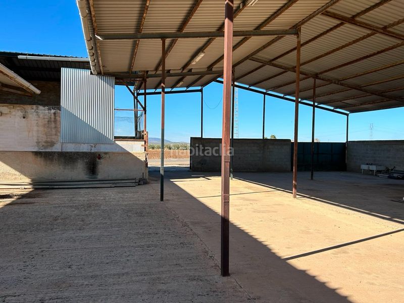 Foto c74c52a0-ae74-43af-863c-9a5ed1dbe80d. Masia amb aparcament piscina a Zona de la Vega Antequera