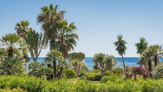 Ground floor  Costalita p. andaluz i. Exclusivo apartamento en primera línea de playa en costalita