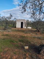 Finca rústica a Sanlúcar la Mayor. Finca rustica