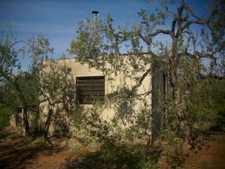 Finca rústica a Calle antonio gala 52. Caminio de bollullos de la mitacion sevilla