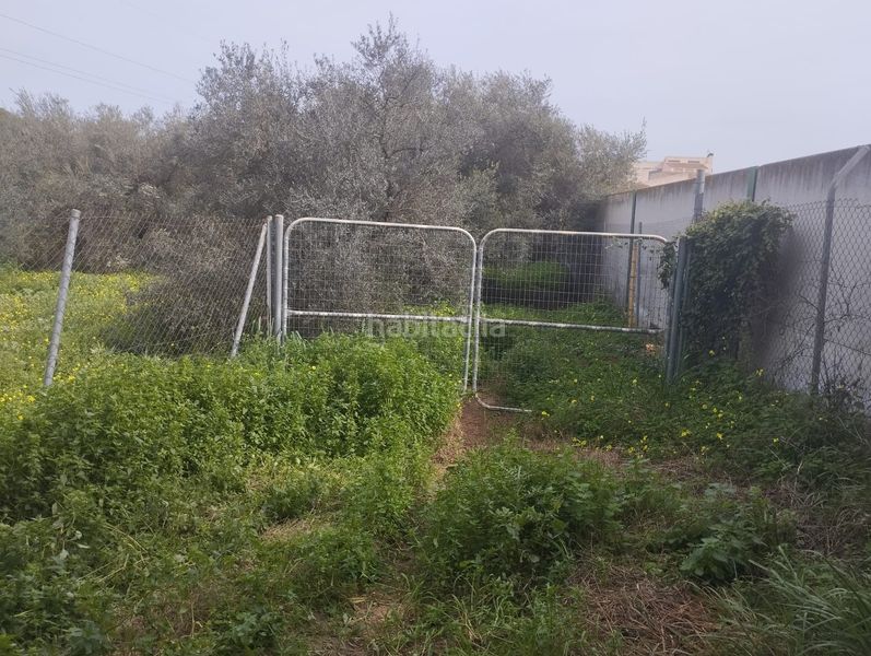 Foto 46f63d33-e402-4a79-ad16-72805cb336e3. Finca rústica a Sanlúcar la Mayor