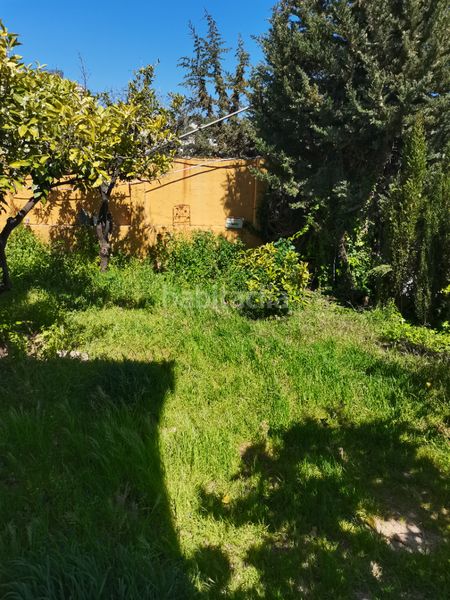 Foto cde44b35-aaa8-445d-b241-4bef8fa4a018. Chalet con camino riscaldamento parcheggio piscina in Málaga