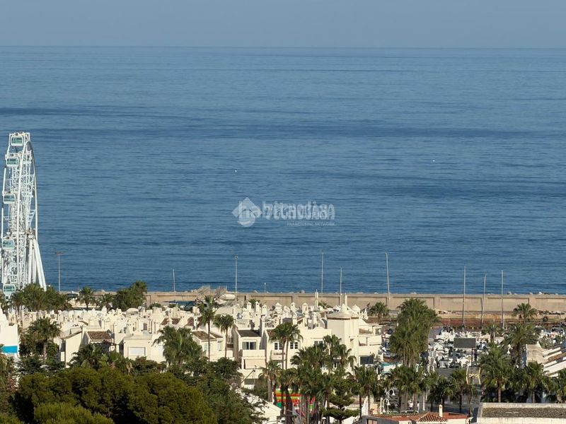 Foto c0e7dac0-908d-4d1d-ba7e-00706f9ad83b. Estudi a Solymar Benalmádena