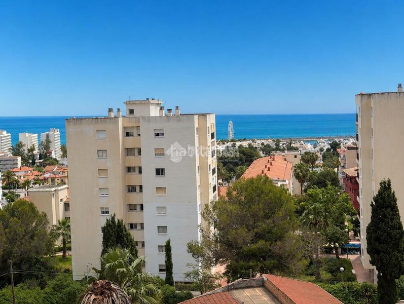 Foto e2b75d8b-0061-4e8e-afda-401b783342f0. Estudi a Solymar Benalmádena