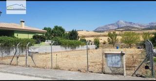 Terreny residencial  Calle pena cabrera. Terreno urbano listo para tu proyecto de vida!