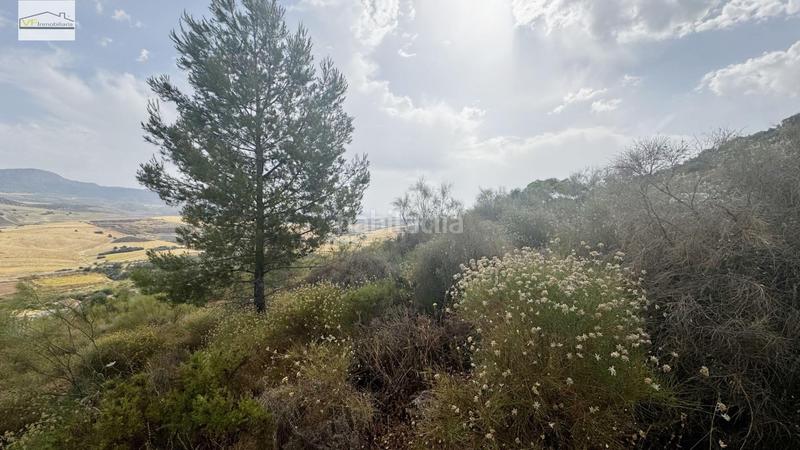 Foto 2bcdc840-9de1-4e82-9f81-f5e93e10f85b. Terreny residencial a Casabermeja