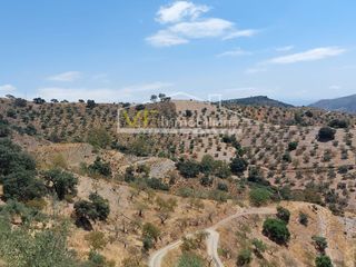 Landgut in Calle colmenar