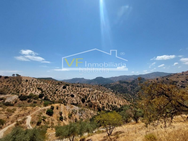 Foto cdfec4d9-d85f-466d-90b0-dfd55a4d7dd2. Finca rústica a calle Colmenar a Colmenar