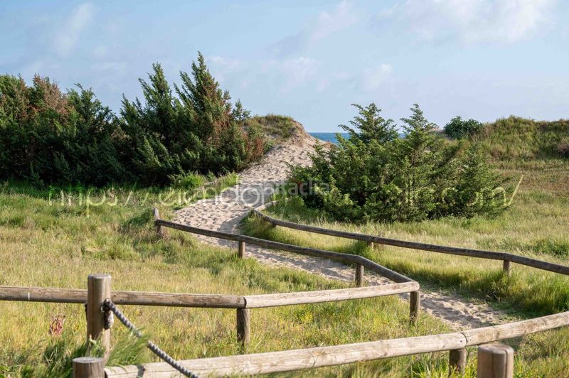 Foto 0155da92-99ad-49d6-a3eb-39808cd58462. Apartament amb calefacció piscina a Romana Playa Marbella