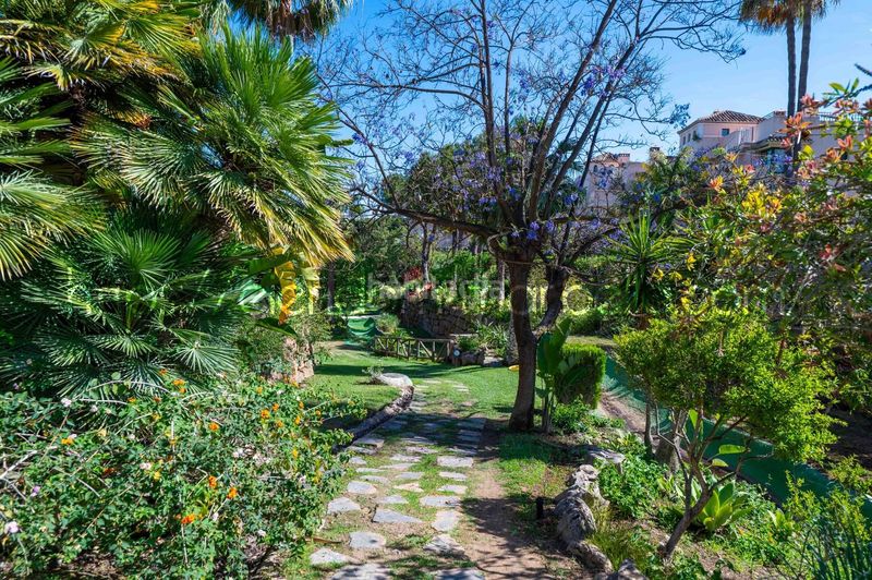 Foto 852fb0c8-06b1-418e-b4c2-f17055e762cd. Apartament amb xemeneia piscina a Santa María Marbella