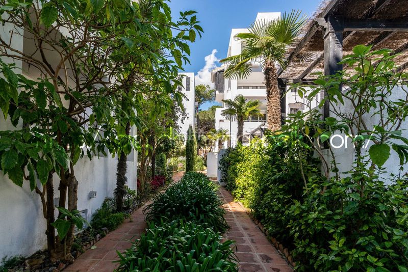 Foto 1e233dfc-7db9-4866-95c3-f4aca60f278c. Àtic amb calefacció piscina a Romana Playa Marbella