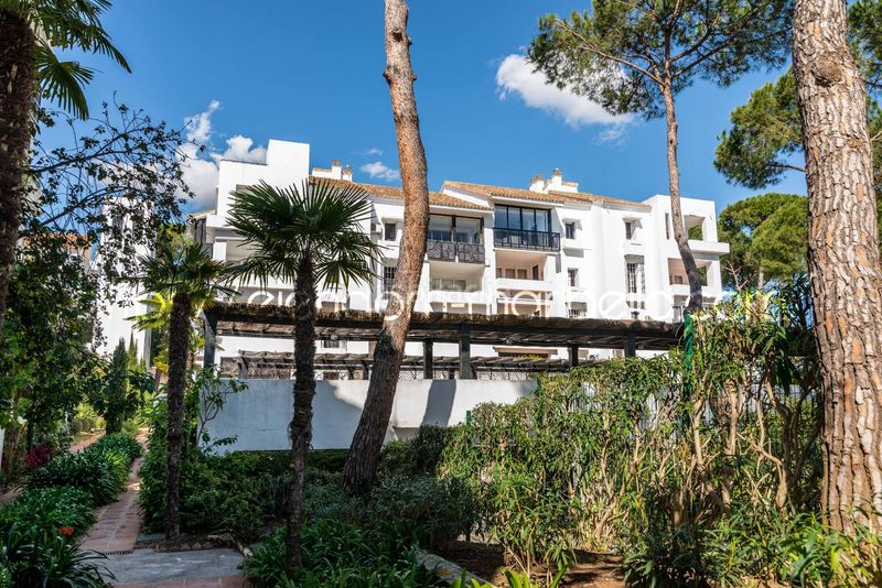 Foto 8197cd82-27c6-4958-9753-dfd8f9367535. Àtic amb calefacció piscina a Romana Playa Marbella