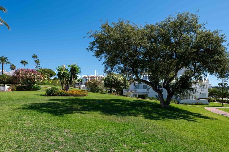 Foto da19e326-4ad7-4ce7-a397-b78af428e2c3. Apartament amb xemeneia piscina a Elviria Marbella