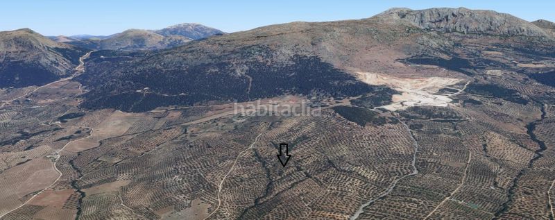 Foto 590a4ee9-1438-40fa-99b3-fb6c940cd7fe. Finca rústica a Villanueva del Trabuco