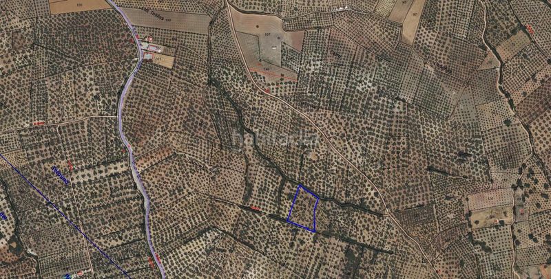 Foto 696c4620-533d-4f0f-b244-fb135a65298d. Finca rústica a Villanueva del Trabuco